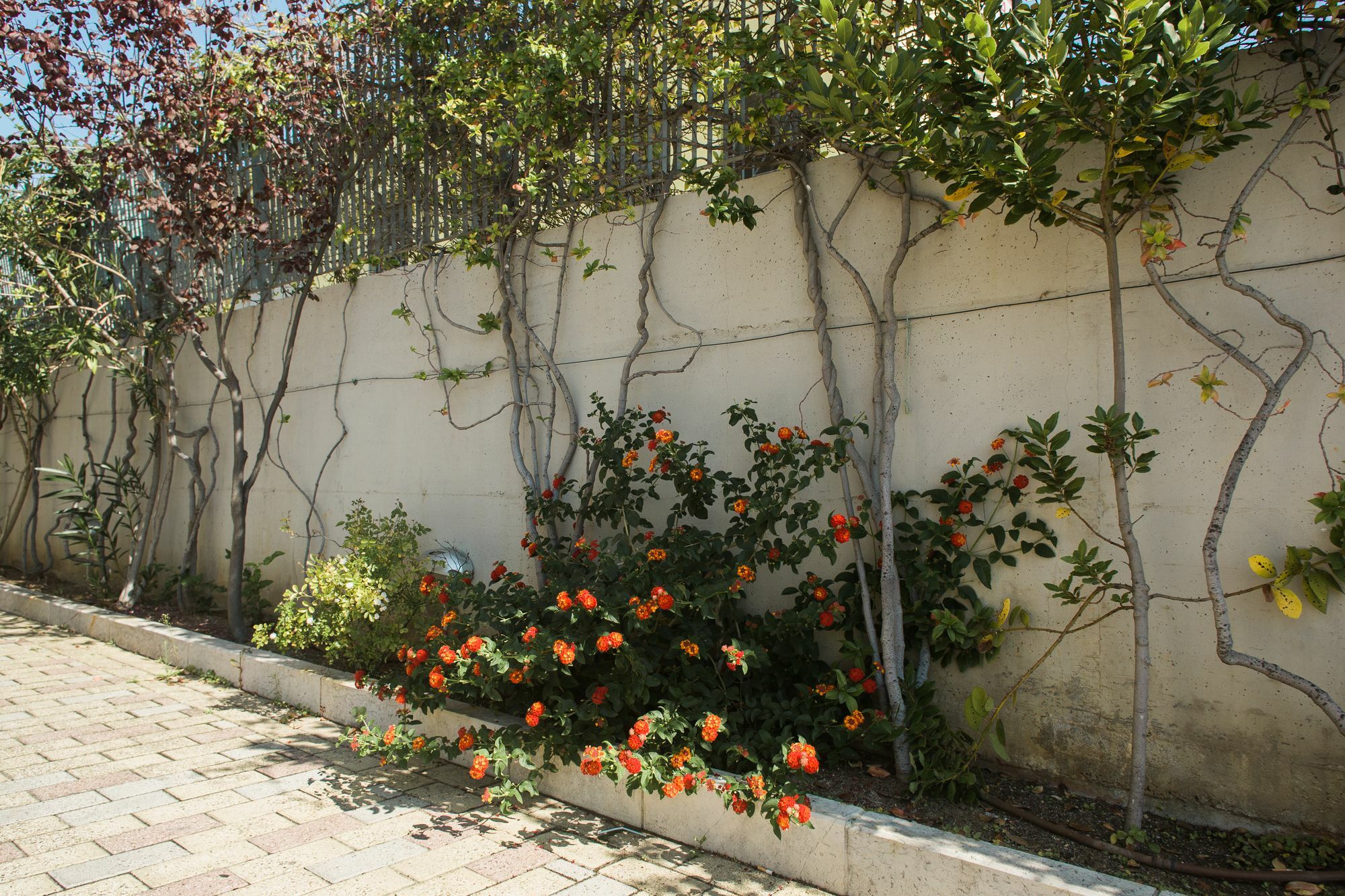 Bed and Breakfast Il Crusco Matera Esterno foto