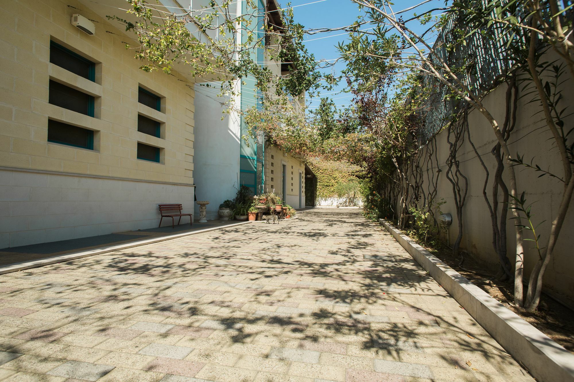 Bed and Breakfast Il Crusco Matera Esterno foto